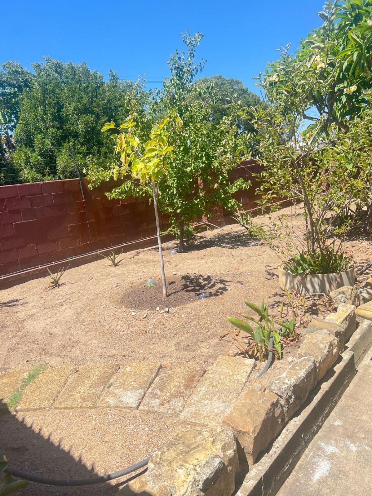 Triple S Guest House Kaapstad Buitenkant foto