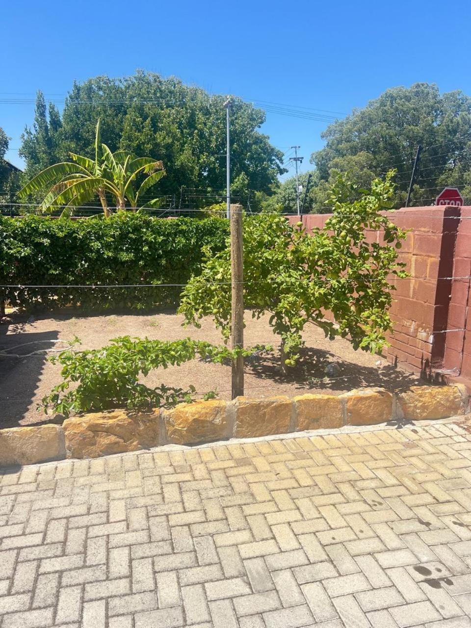 Triple S Guest House Kaapstad Buitenkant foto